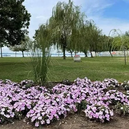 Babzsi Nyaralo 別荘