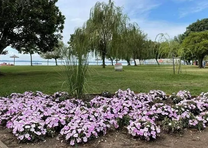 Babzsi Nyaralo 別荘